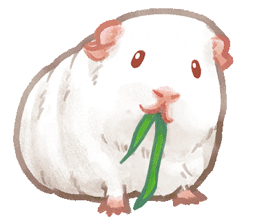 Eat Guinea Pig Sticker