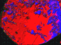 art space GIF by MFD