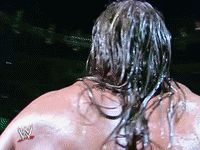 wwe sports wwe wrestling summerslam GIF