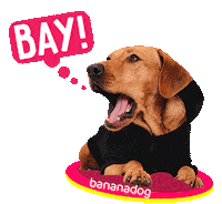 Dog Sticker by BANANADOG