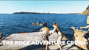Therock GIF by Simple Life Social
