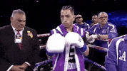 toprank boxing fighting espn fighters GIF