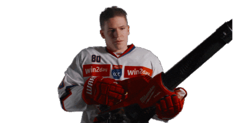 Garden Milwaukee Sticker by EC Red Bull Salzburg