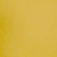 I See You GIF by Iowa State University Foundation