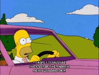 homer simpson GIF