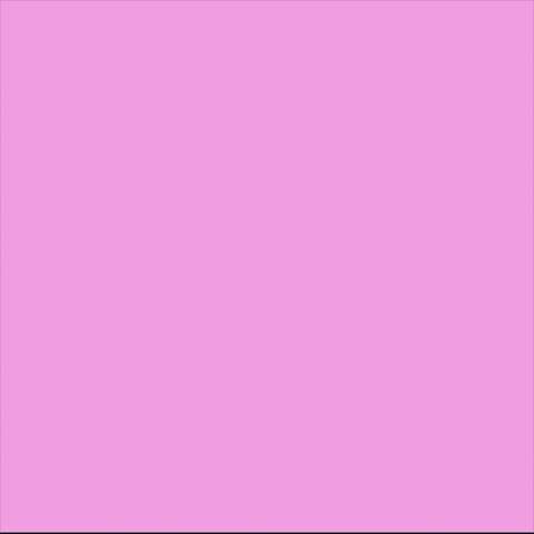I Love You Kiss GIF by CoinGecko