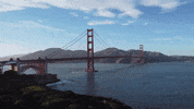 San Francisco California GIF by Yevbel