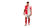 Football Soccer Sticker by SK Slavia Praha