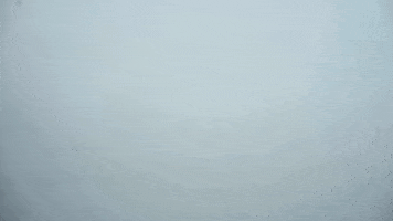 GIF by Rock City Digital