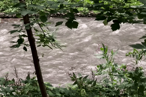 giphyupload moscow GIF
