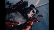 Fashion Drag GIF by nashmoch