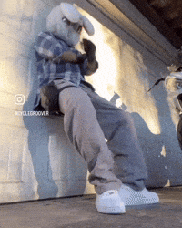 Dance Dancing GIF