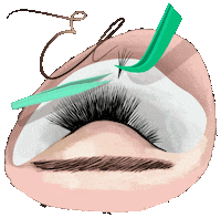 emeraldlashes training lashes extensions emerald Sticker