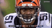 Cincinnati Bengals Football GIF by NFL