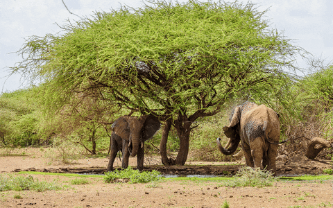 danijelmihajlovic giphyupload GIF