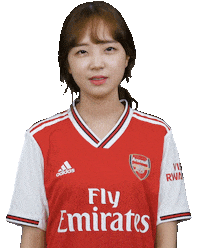 Soccer Arsenal Sticker by Shoot for Love