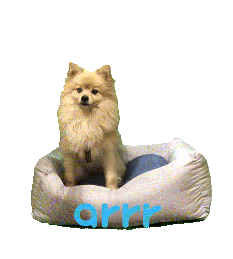 아르르 Sticker by arrr_official