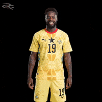 Fifa World Cup Ghana GIF by Respective