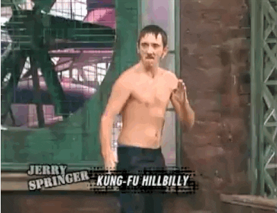 Kung Fu Wtf GIF