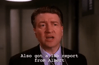 season 2 episode 6 GIF by Twin Peaks on Showtime