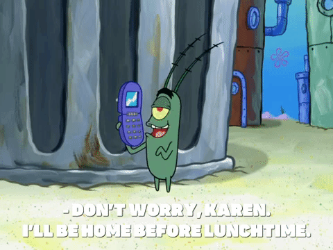season 8 GIF by SpongeBob SquarePants