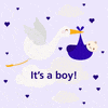 Baby Bday GIF by Vita Zivljenjska