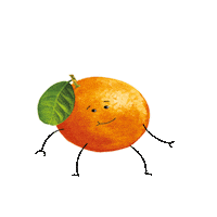ShloerBGRocks orange squash realfruitsquash rockssquash Sticker