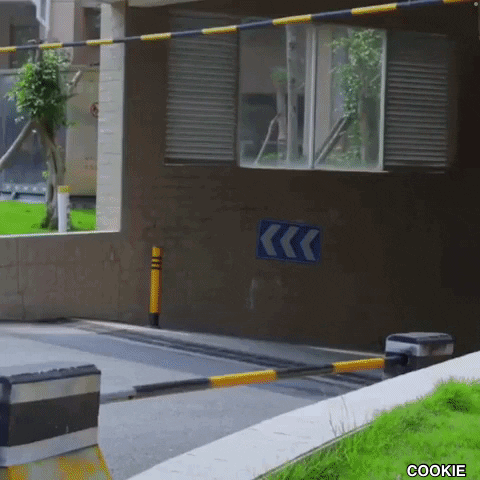 Deeznutsnft GIF by Deez NFTs