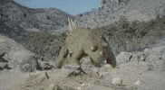 dinosaur GIF