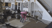 temp GIF