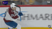 Happy National Hockey League GIF by NHL