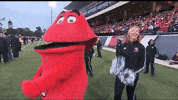 Big Red Fall GIF