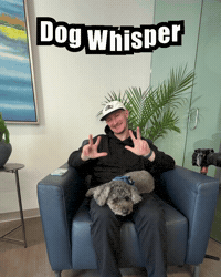 Dogs Poodle GIF by Respective