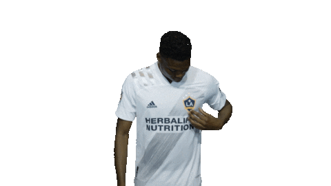 Los Angeles Football Sticker by LA Galaxy