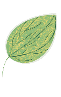 Spring Plant Sticker