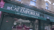 Cat Cafe GIF by Wired Productions