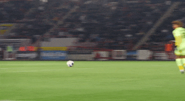 Ecfc Exetercity GIF by Exeter City Football Club