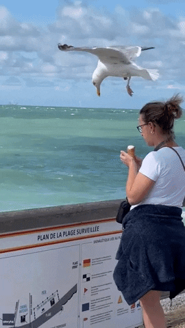 Unsuspecting Ice Cream GIF by Storyful