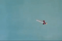 Japan Flying GIF by MANGOTEETH