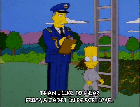 the simpsons episode 25 GIF