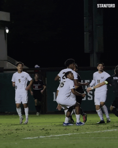 GIF by Stanford Athletics