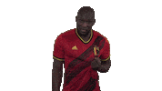 Rode Duivels Goal Sticker by Royal Belgian FA