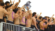 College Football Fans GIF by Northwestern Athletics