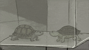 season 1 cats GIF by Animals