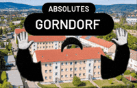 PvtSteiner absolut saalfeld absolutes pvtsteiner GIF