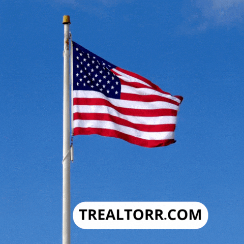 Real Estate Usa GIF by Trealtorr