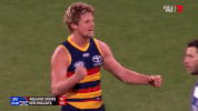 happy rory sloane GIF by Adelaide Crows