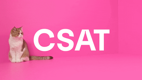 Csat Customer Satisfaction GIF by Klaus