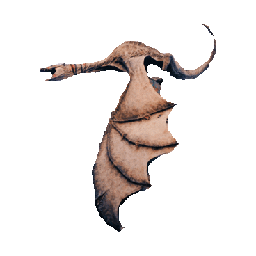 dragon STICKER by imoji