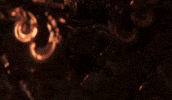 Yell Battle Cry GIF by Xbox